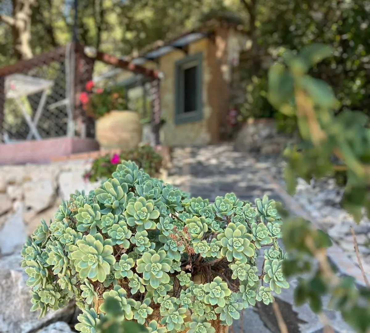 Apartment Casa Piredda Icore Iun R7749 Dorgali Italy